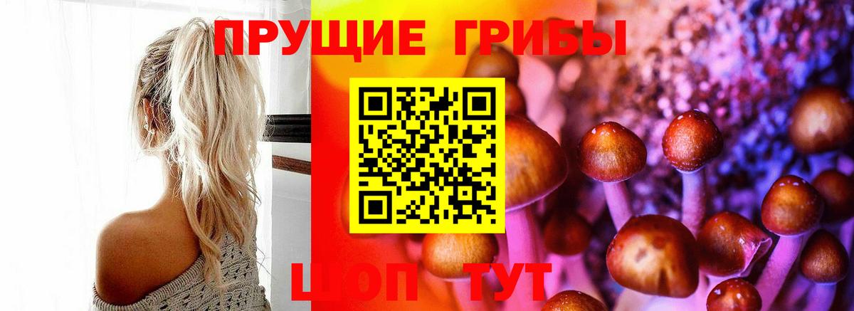 Тихвин  Псилоцибиновые грибы прущие грибы  Галлюциногенные грибы Magic Shrooms  Вход с VPN 